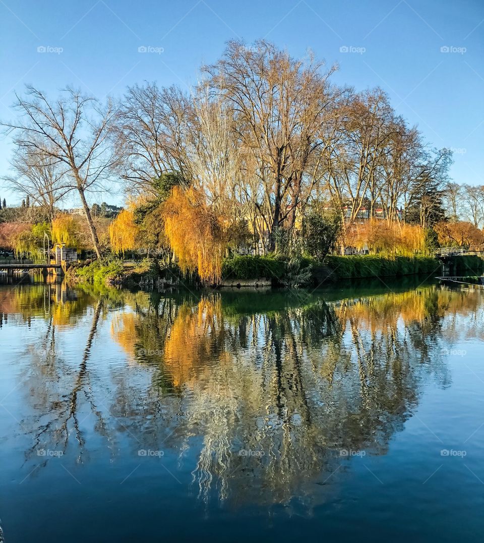 Autumnal coloured trees reflect in the water of the river