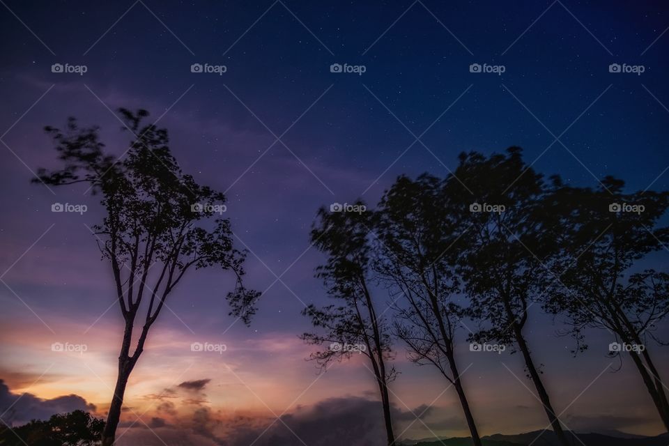 Background of stars and tree