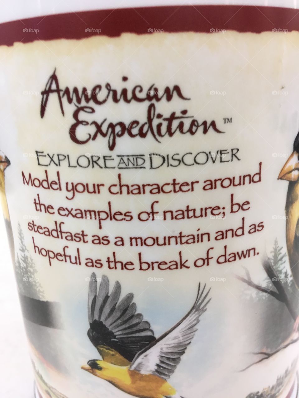 Here’s your quote for the day hope you enjoy straight from the Goldfinch on this mug.