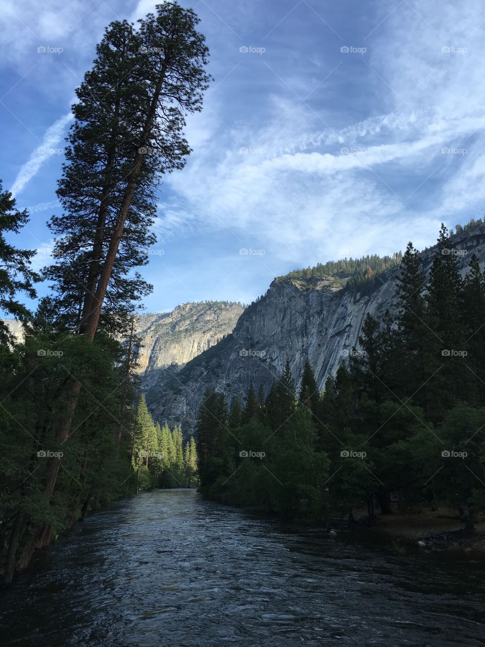 North pine campgrounds, Yosemite national park