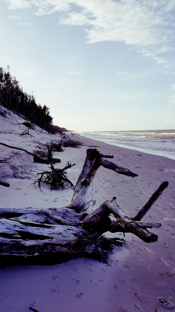 Baltic beach after storm.