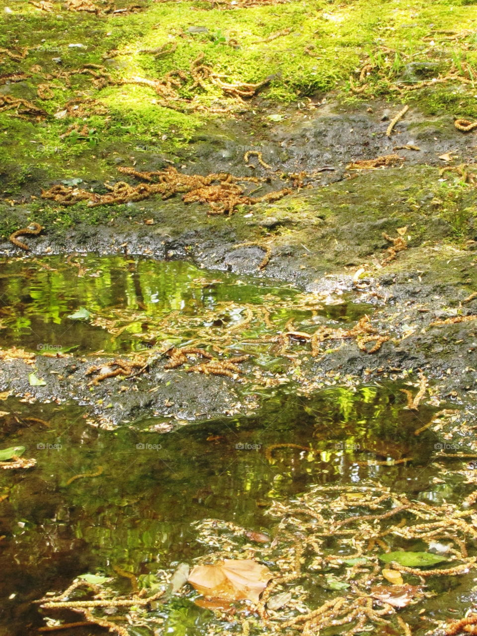creative texture of colored mud