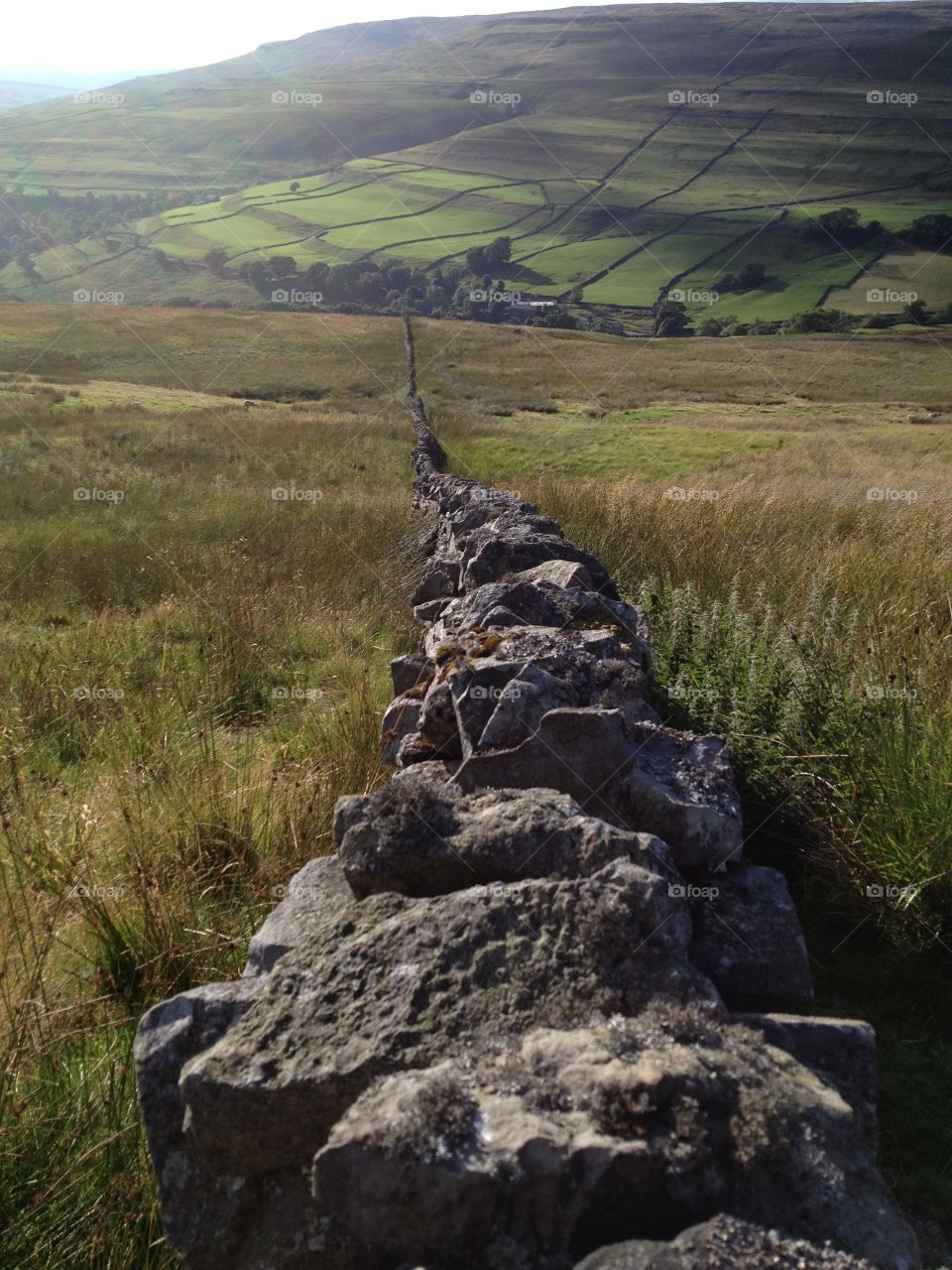 Dry stone wall