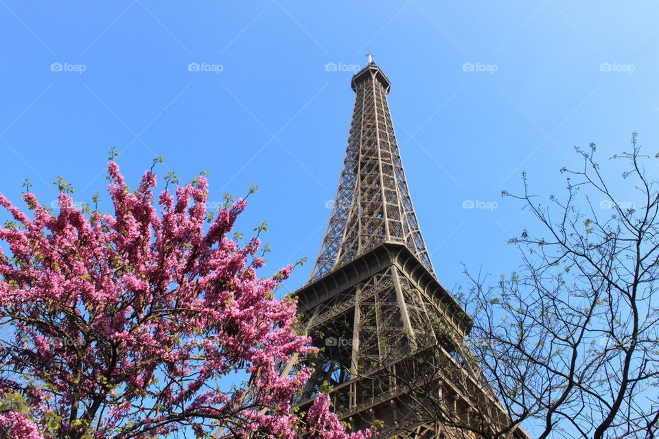 Eiffel Tower 