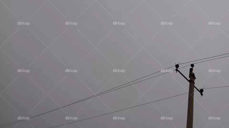 high in the sky