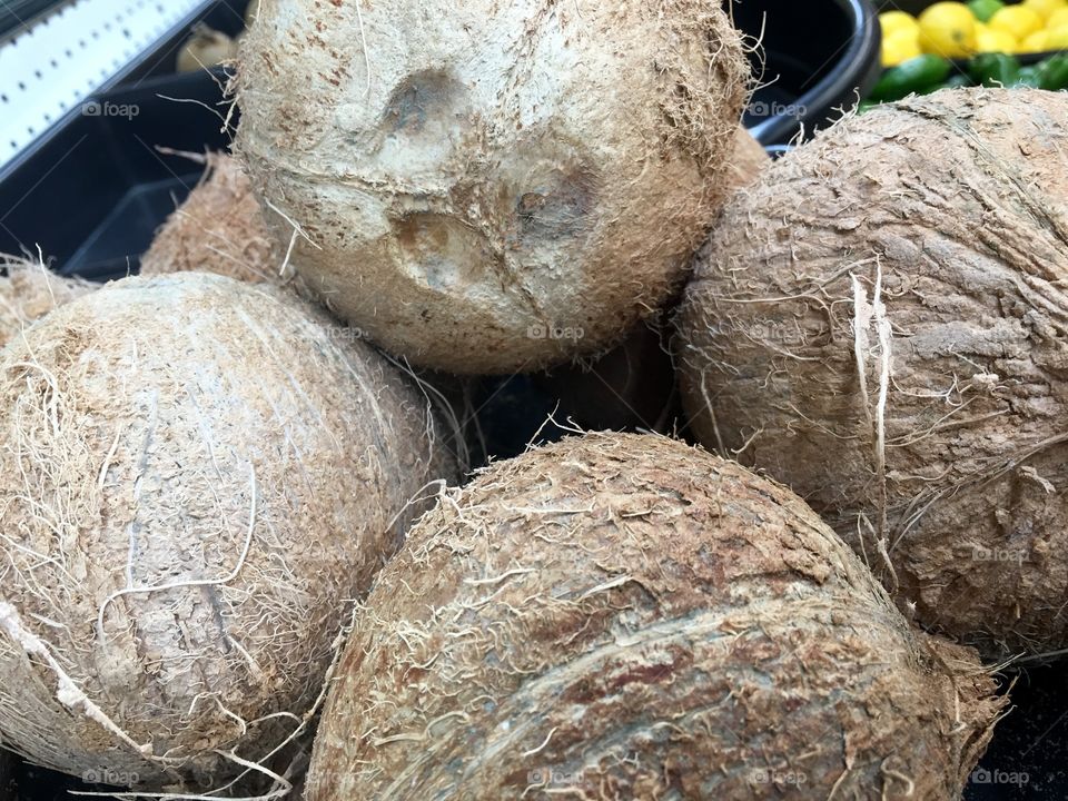 Coconut