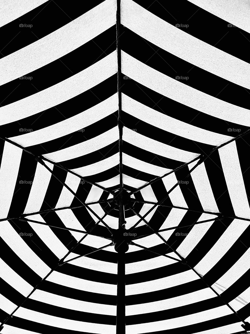 Black and White Umbrella 