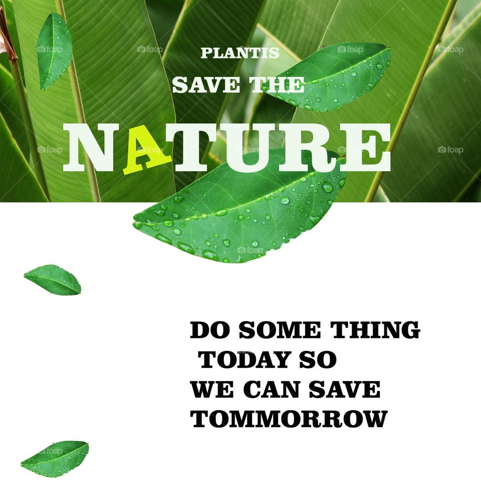 save nature poster green leafs and white background