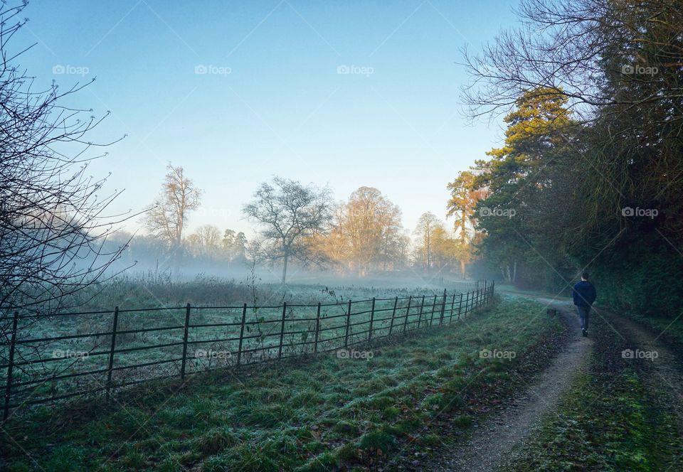 Landscape Composition ... low mist hovering over a field 