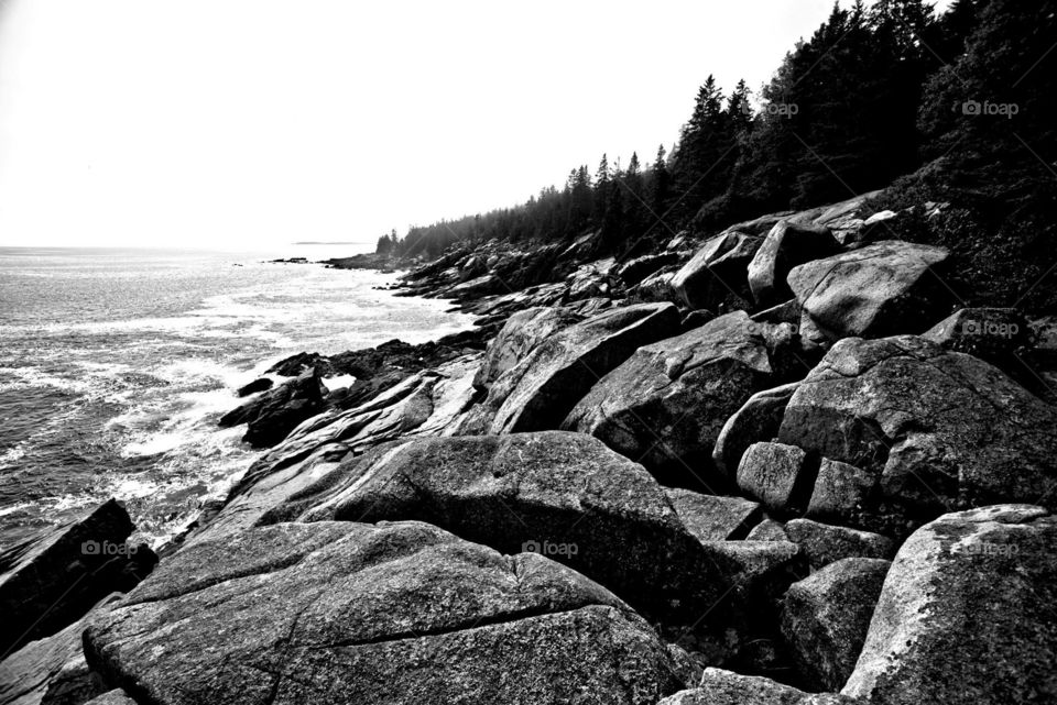Rocky shoreline 