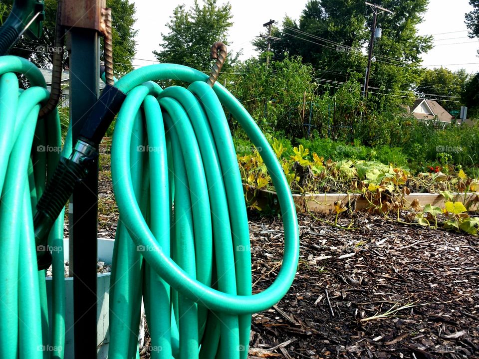 water hose & garden