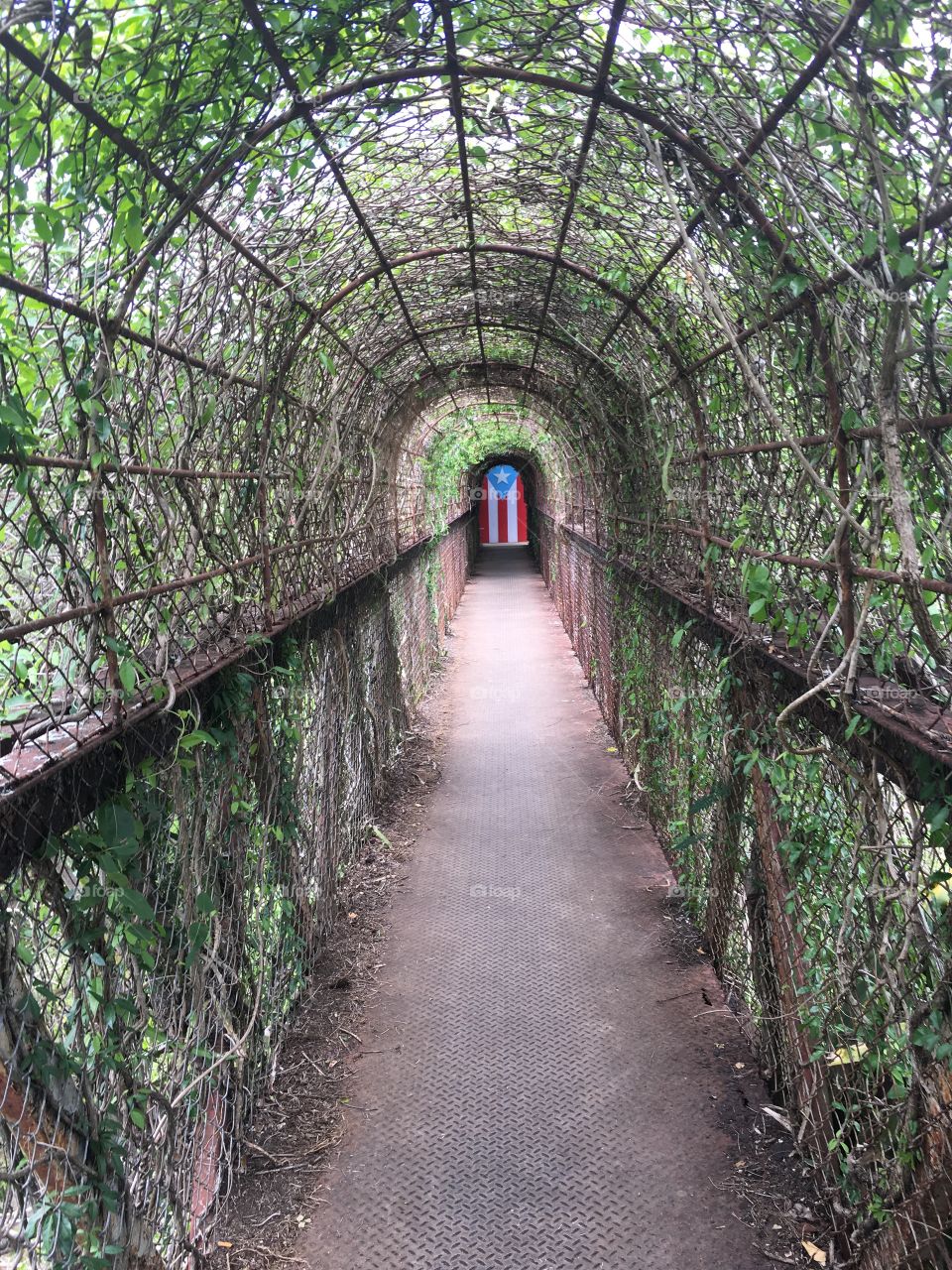 A flag in the distance!