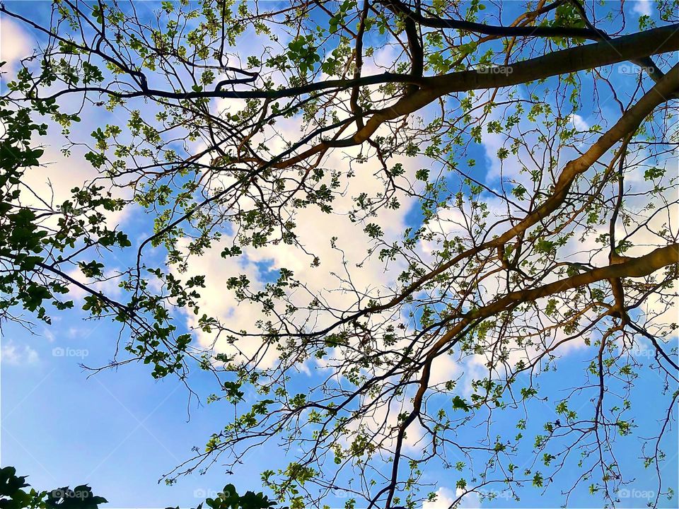 Upload the photo of the month July