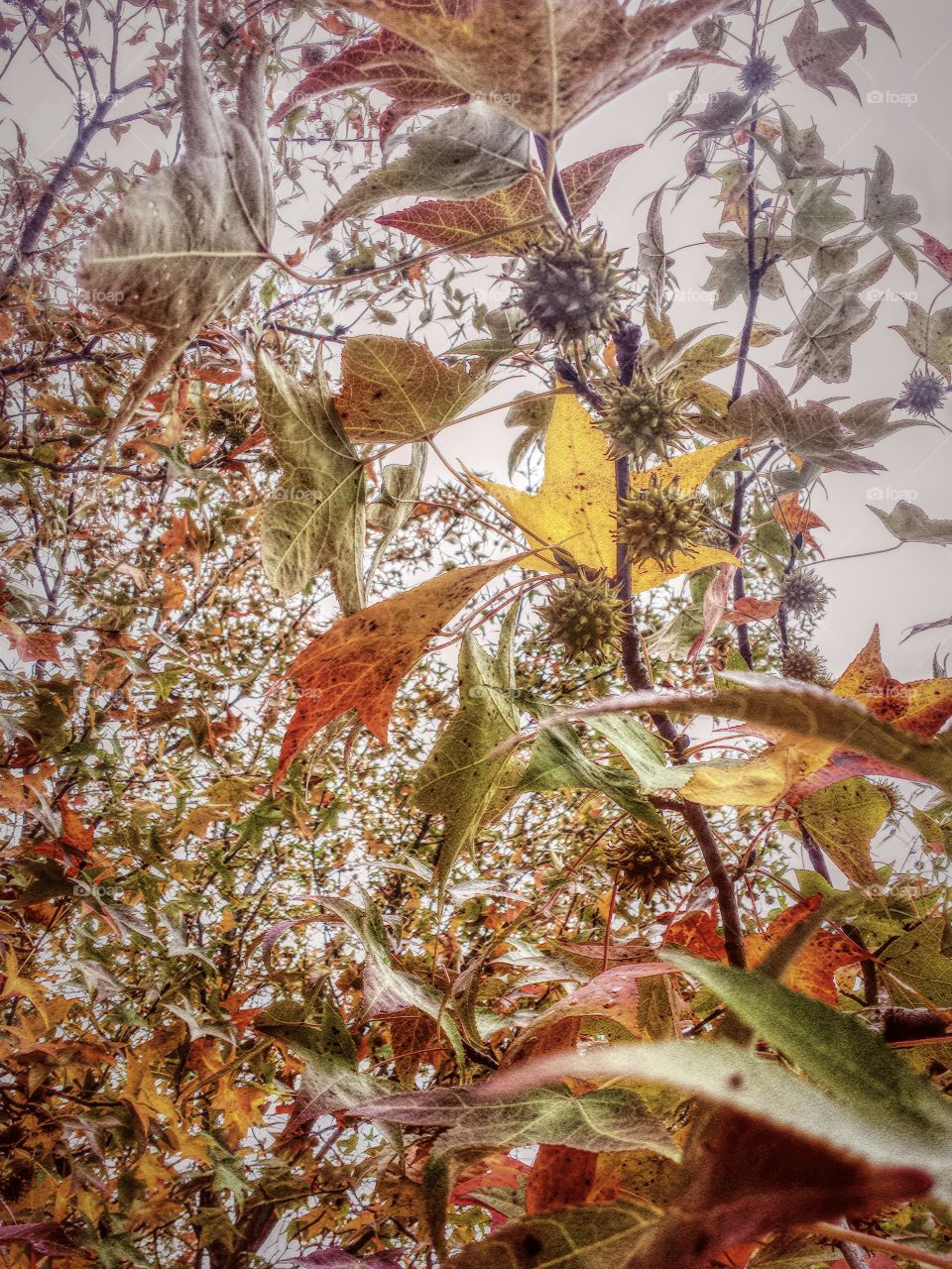 changing perspective