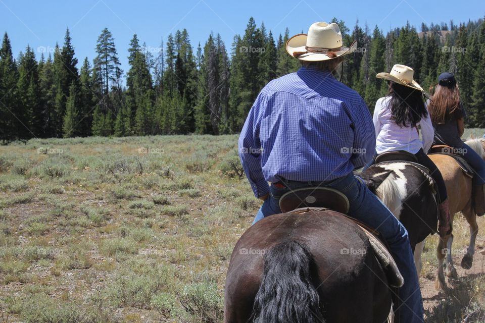 Horses and county 