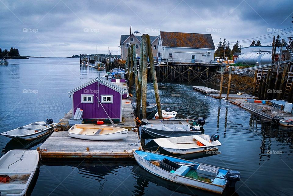 Purple bait house, Vinalhaven, Maine