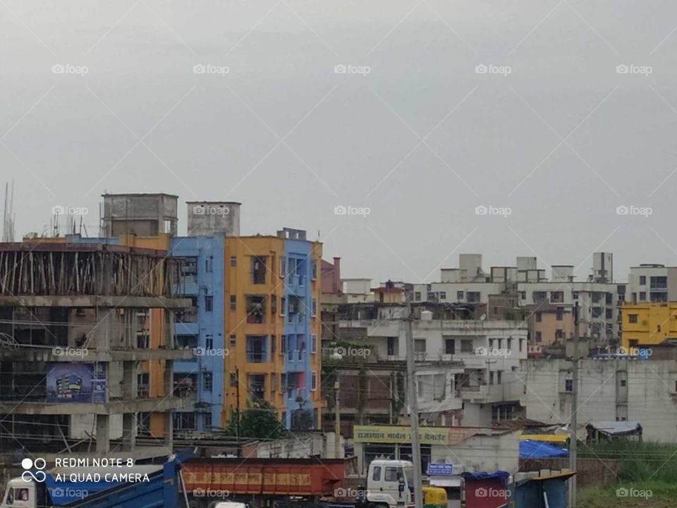 the life in concrete jungle