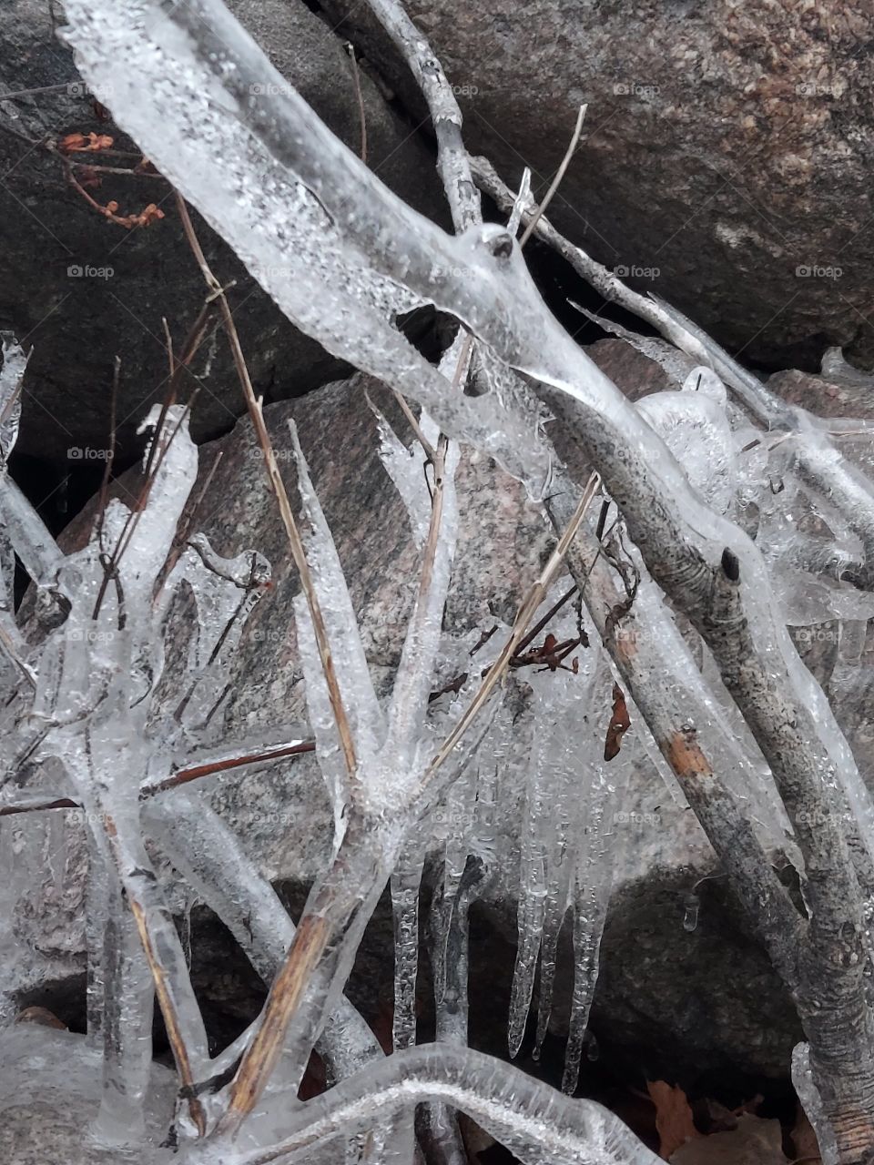 Shore of Lake Winnebago