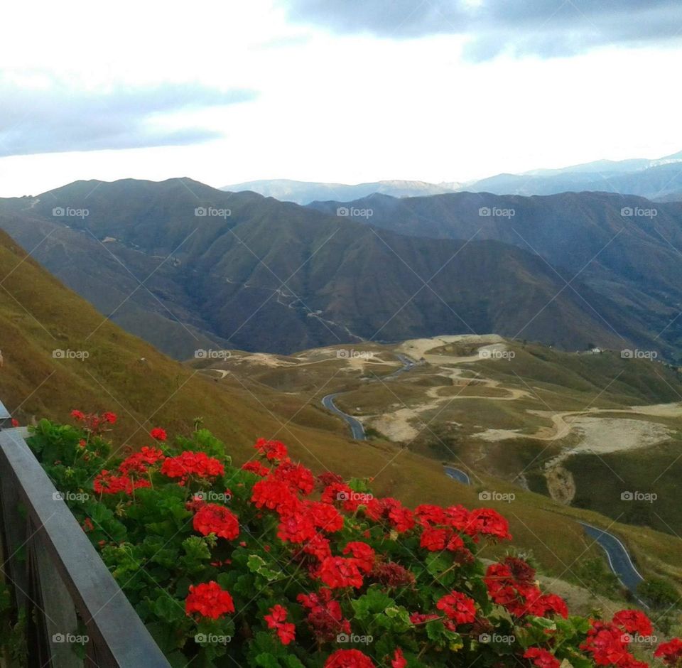 Balcony with red flowers, divine beauty, located in the cabin of Colonia Tovar in Maracay Aragua Venezuela, landscape, mountains