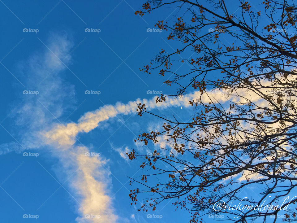 Sky, No Person, Nature, Tree, Weather