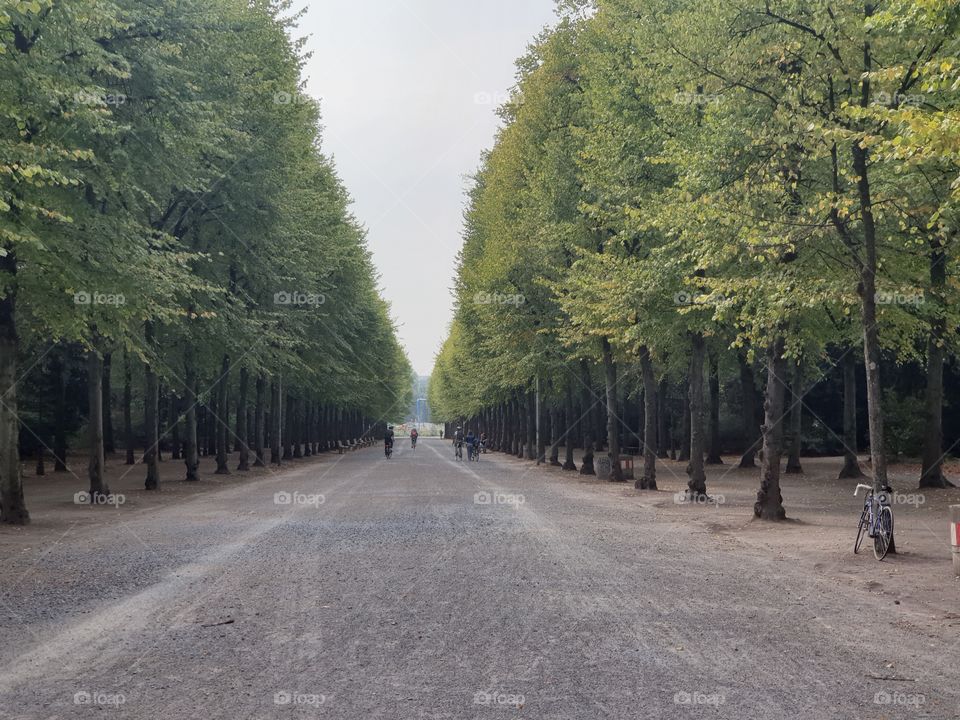 düsseldorf park