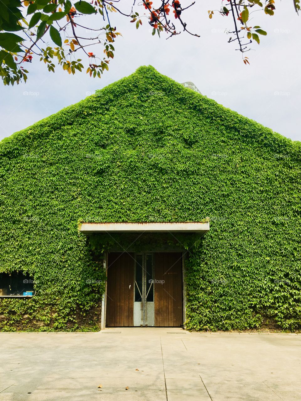 Green facade creative park in Taipei, Taiwan