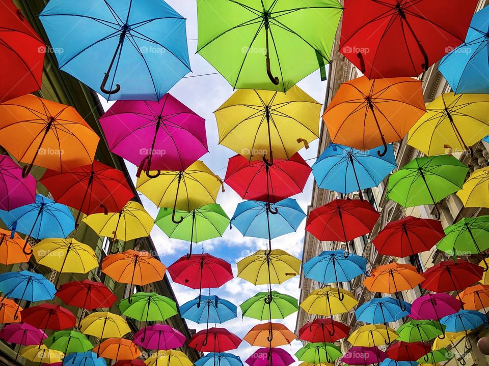 Umbrellas