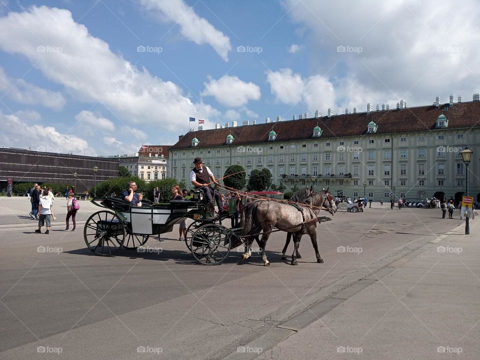 Tenderness Series: Couples