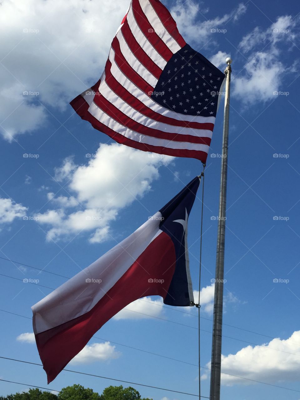 US and TX Flags