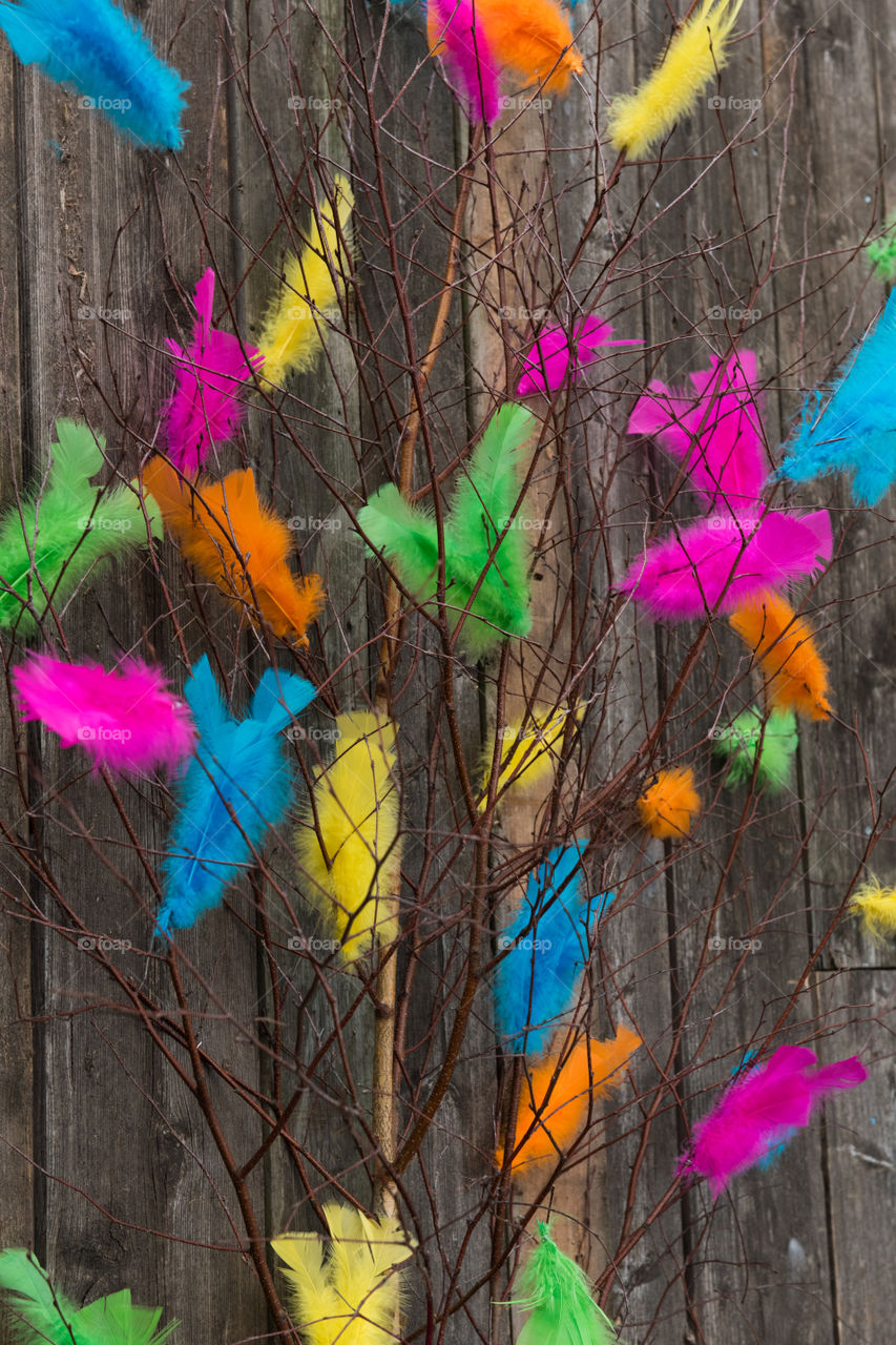 Easter feathers in different colors.