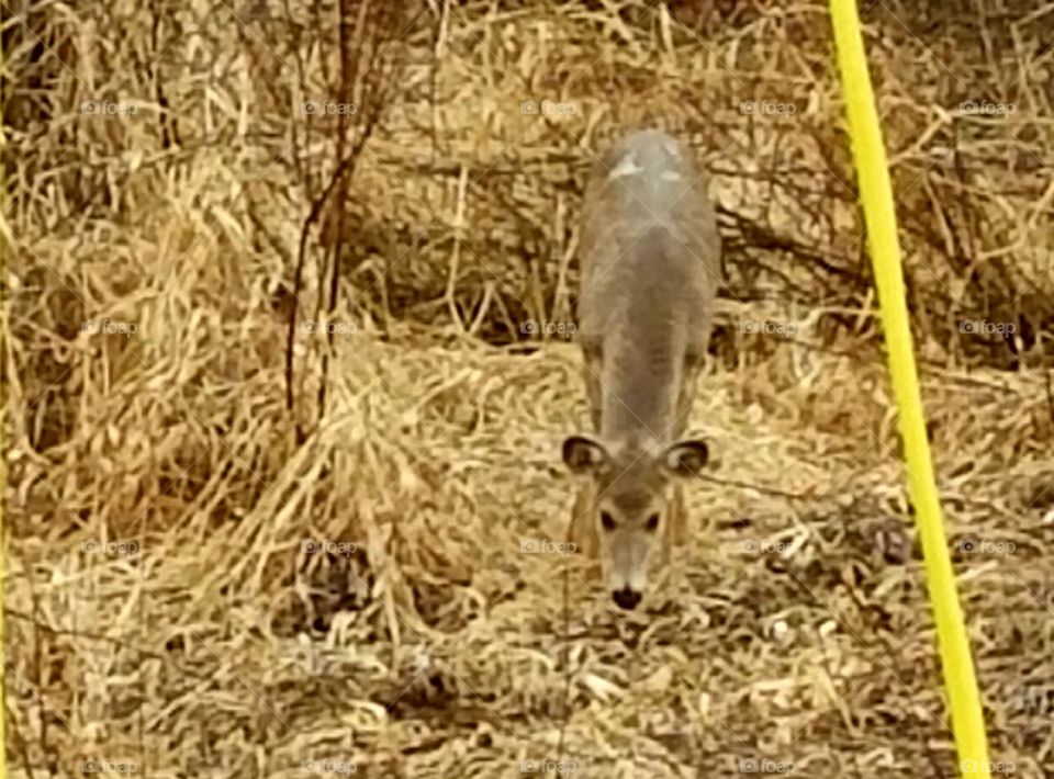 Driving the back Roads, Enjoying Nature