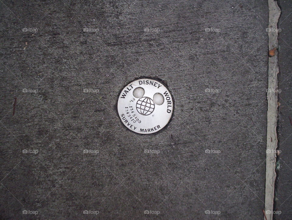 WDW Hidden Mickey - Survey Marker 