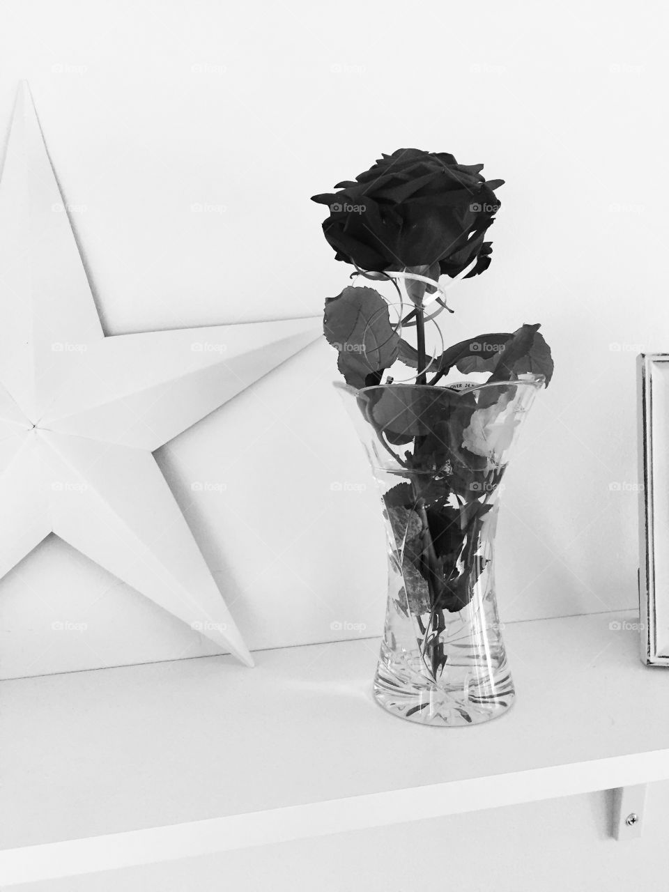 Interior design- black and white rose and star
