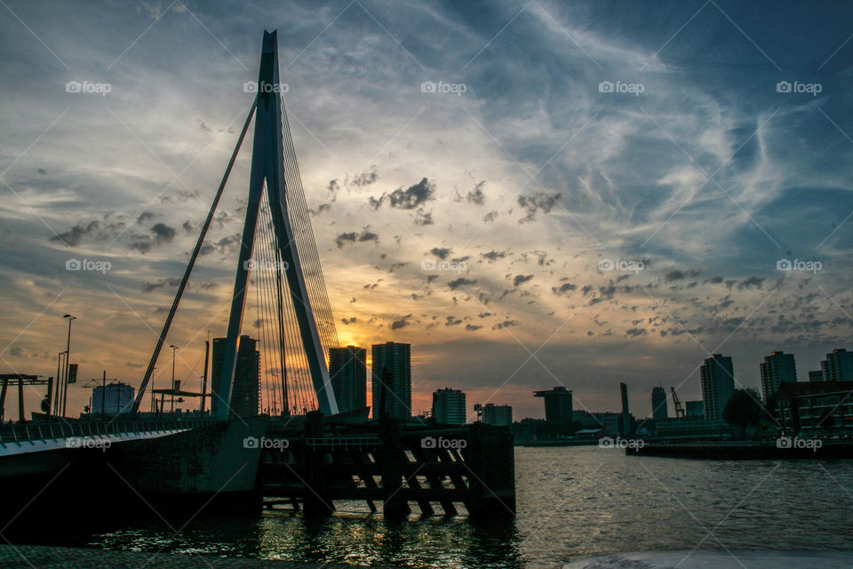 Rotterdam the erasmusbridge