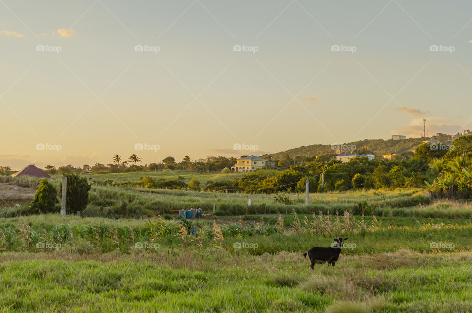 Sunset On Landscape