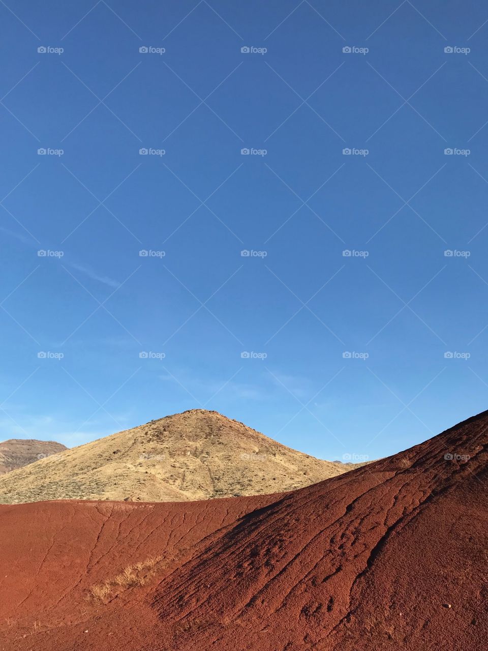 The incredible beauty of the red, gold, and browns of the textured Painted Hills in Eastern Oregon on a bright sunny day.