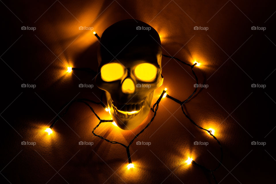 Skull with Christmas lights