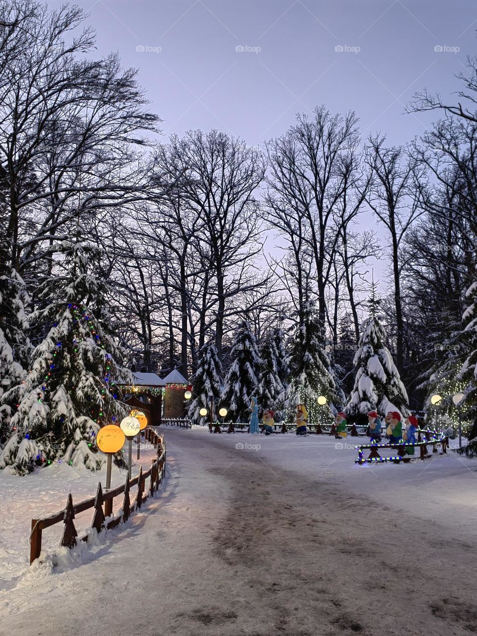 Сказочный лес