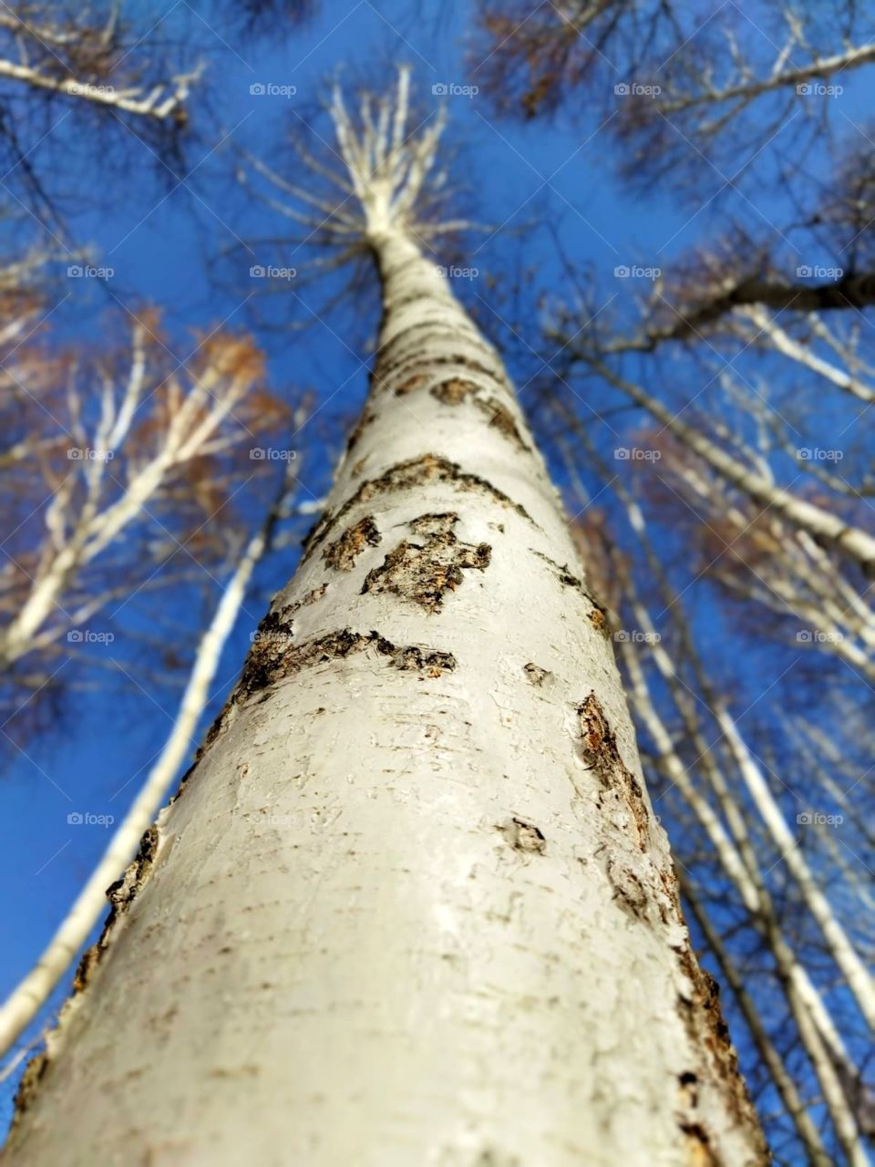 A walk in the autumn forest, unusual bright colors