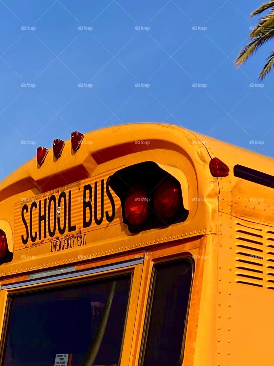 An orange school bus against a bright blue sky .