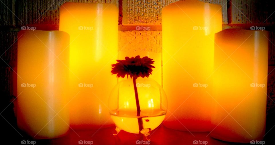 A single gerbera flower in a clear vase glowing amongst candles.