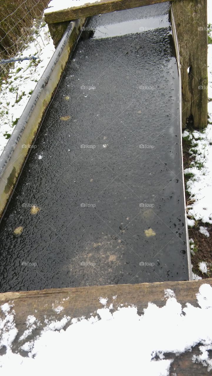 Frozen Water Trough