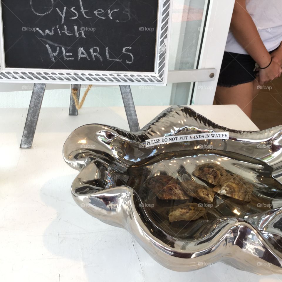 Oysters