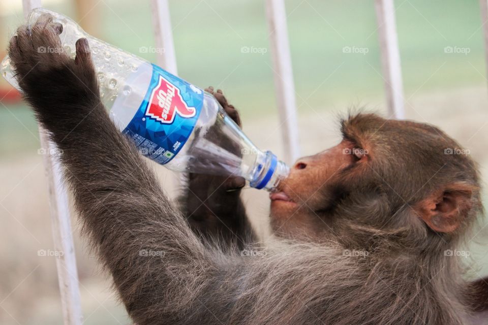 everyone needs softdrink to beat the heat.
as there is also one message I want convey through this picture that start saving water before this Crysis of empty bottle come to everyone for permanent basis.
start thinking, Start acting ๐