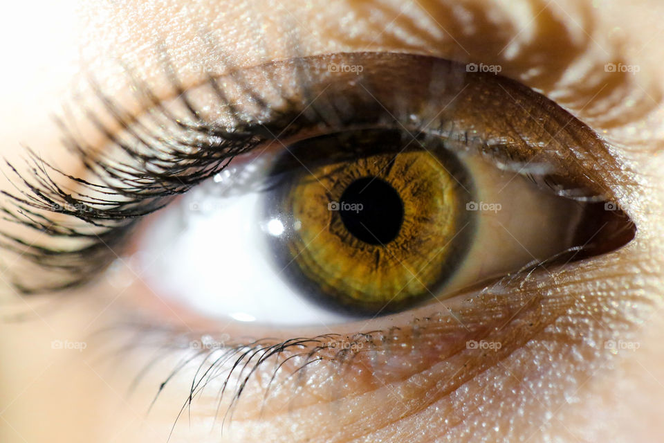 Details of human eye