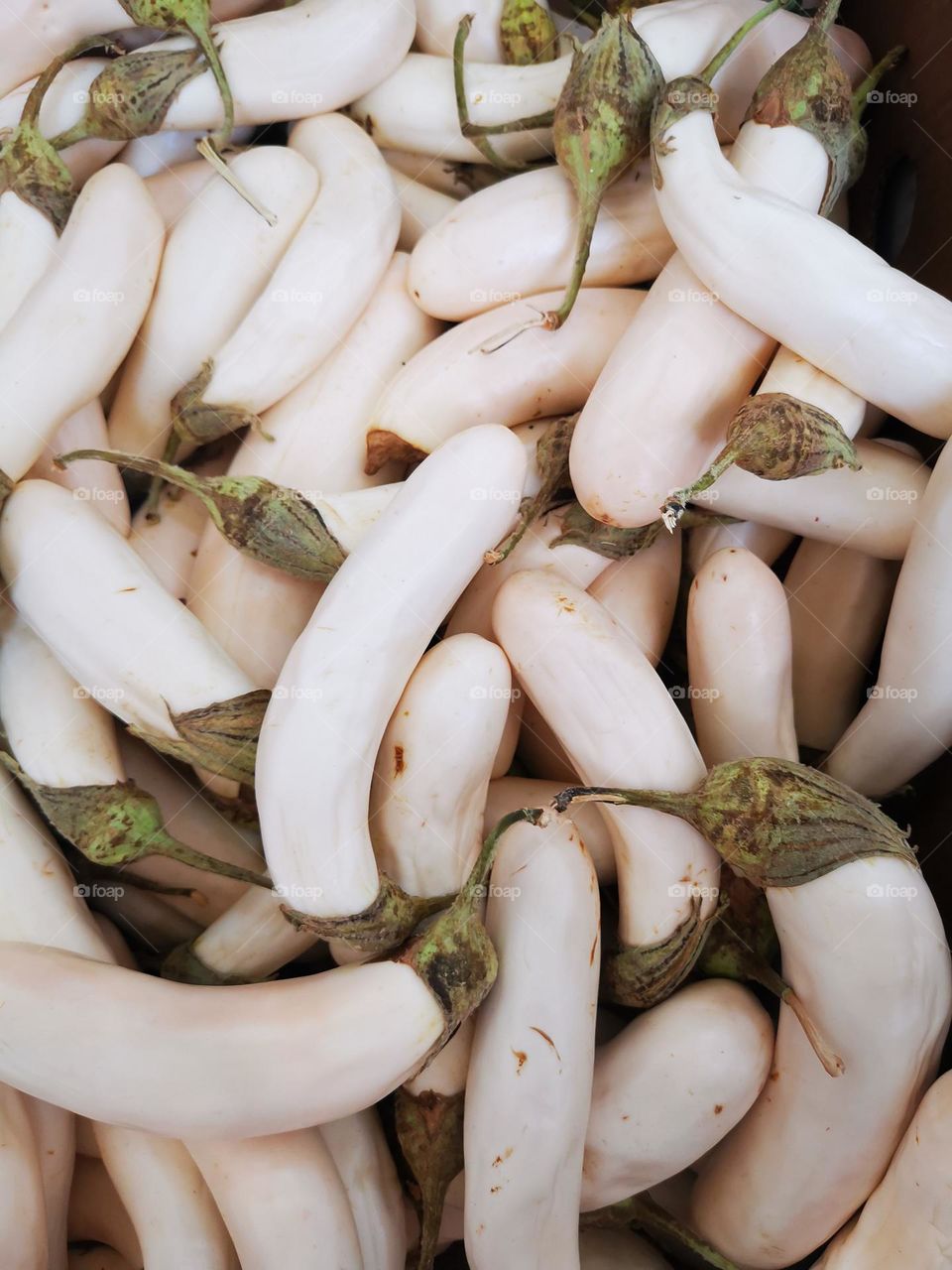 White eggplant and characteristic color