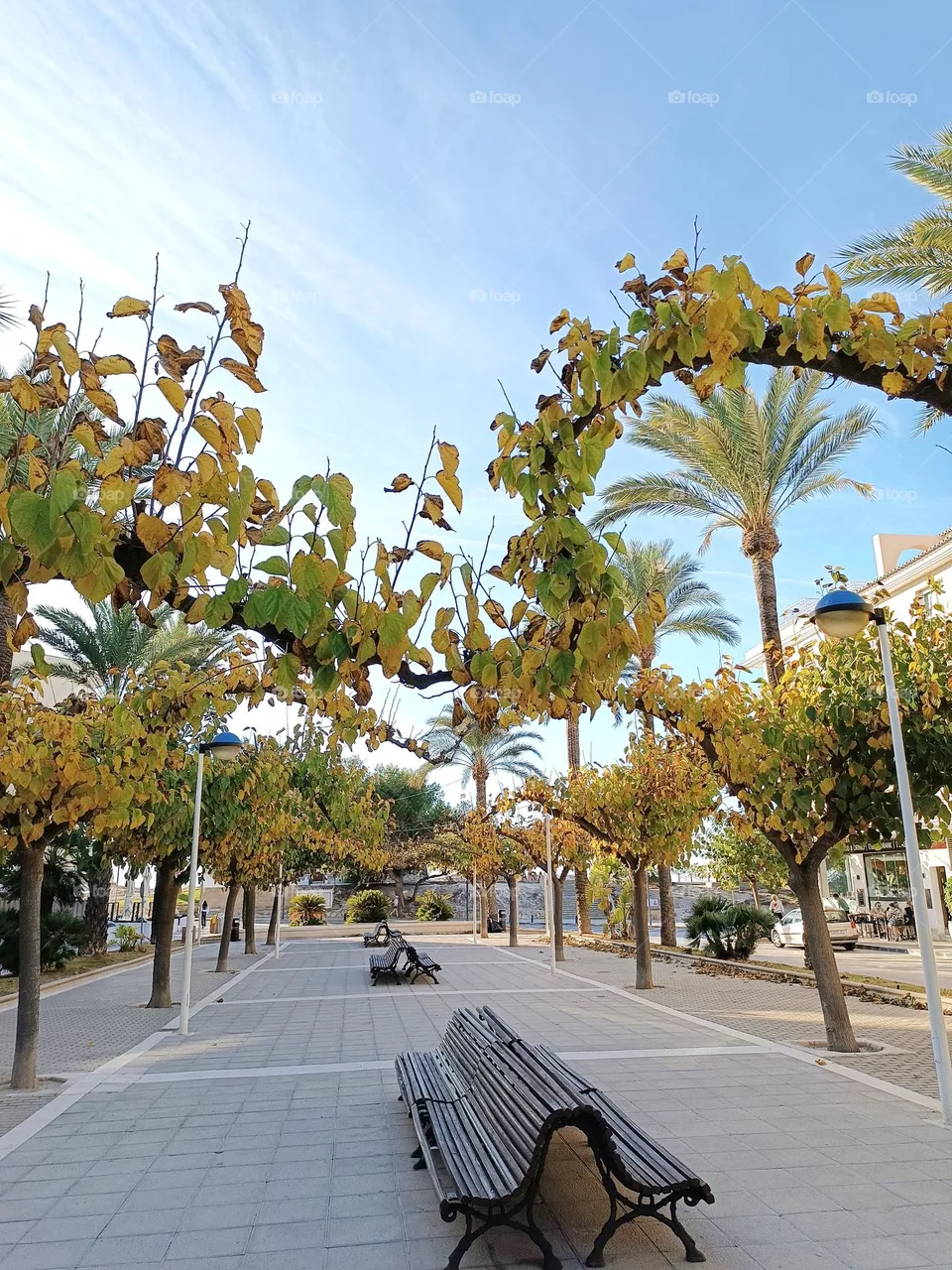 autumn