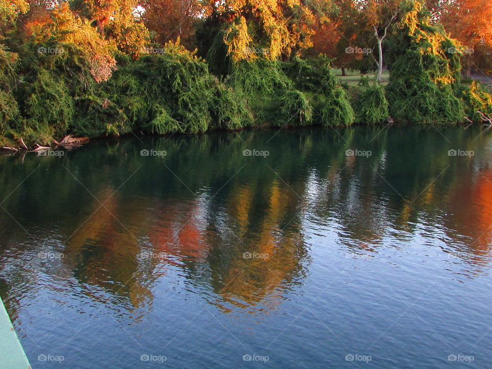 Water, No Person, Fall, Tree, Outdoors