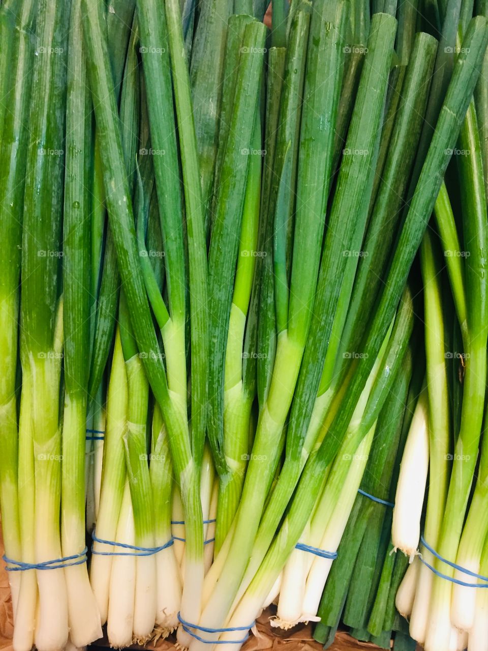 Green shallot background 