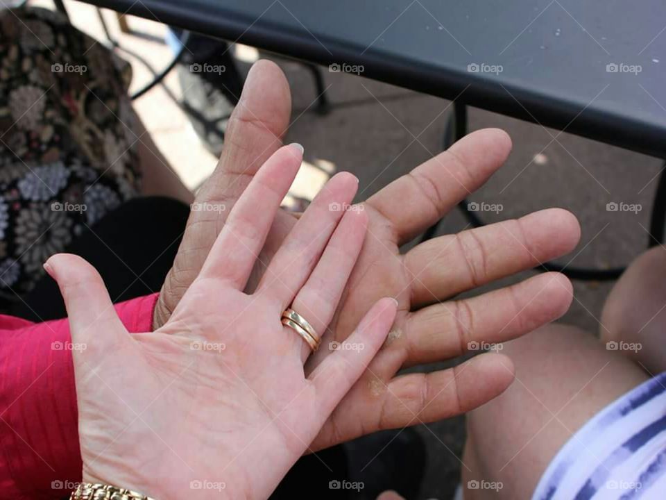 A comparison of my 47 year old female hand compared to my 62 year old male friend's hand.